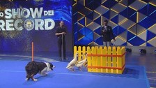 Locandina Lo Show dei Record