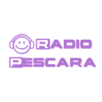 Logo Radio Pescara TV