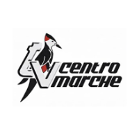 TV Centro Marche