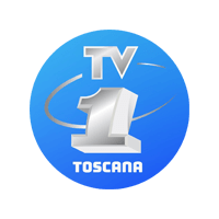 Logo TV1